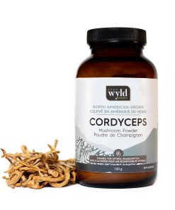 Stay Wyld Organics – Cordyceps Powder (100g)